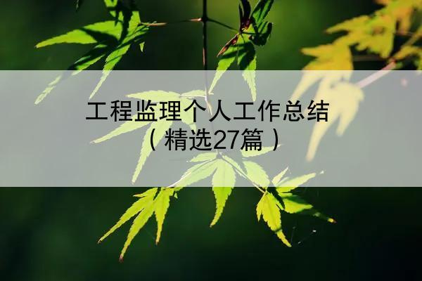 工程监理个人工作总结（精选27篇）