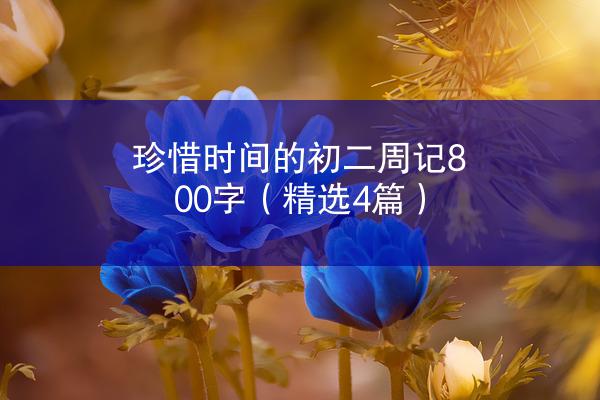 珍惜时间的初二周记800字（精选4篇）