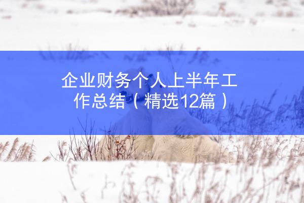 企业财务个人上半年工作总结（精选12篇）