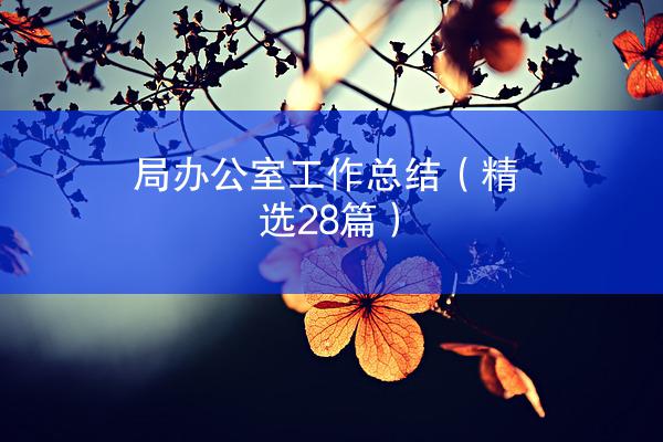 局办公室工作总结（精选28篇）