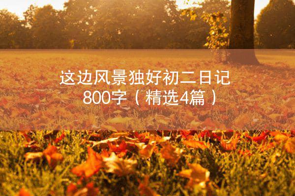 这边风景独好初二日记800字（精选4篇）