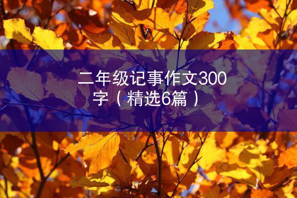 二年级记事作文300字（精选6篇）