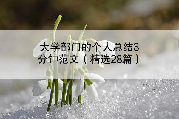 大学部门的个人总结3分钟范文（精选28篇）