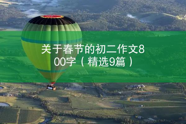 关于春节的初二作文800字（精选9篇）