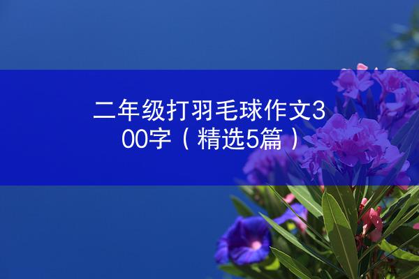 二年级打羽毛球作文300字（精选5篇）