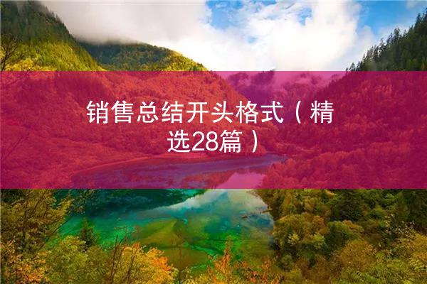 销售总结开头格式（精选28篇）