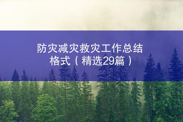 防灾减灾救灾工作总结格式（精选29篇）