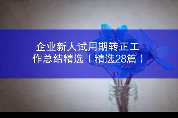 企业新人试用期转正工作总结精选（精选28篇）