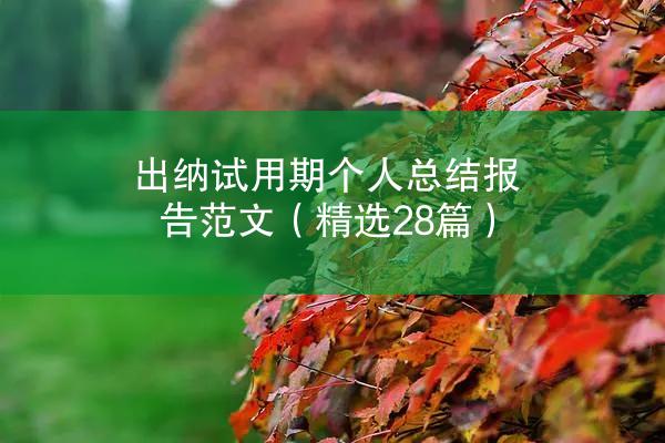 出纳试用期个人总结报告范文（精选28篇）