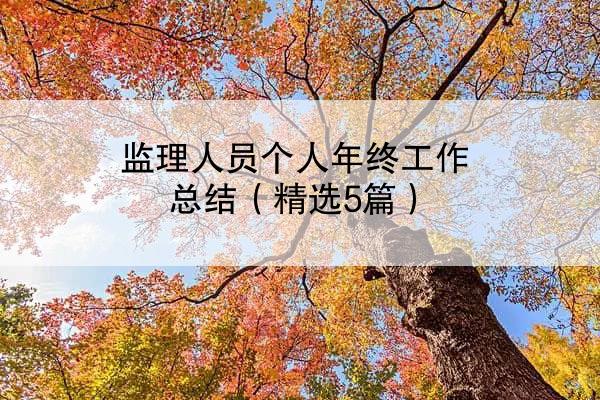 监理人员个人年终工作总结（精选5篇）