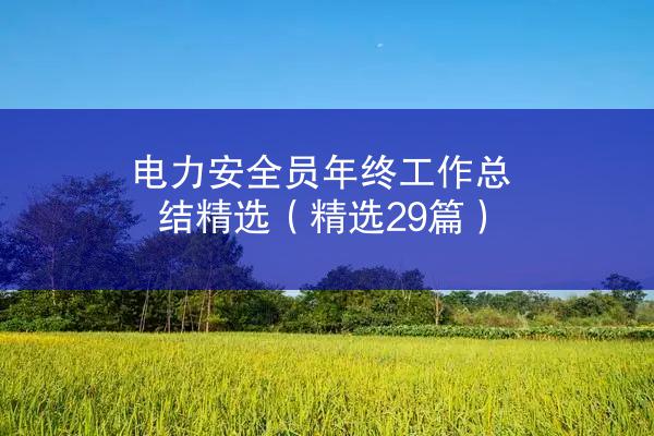 电力安全员年终工作总结精选（精选29篇）