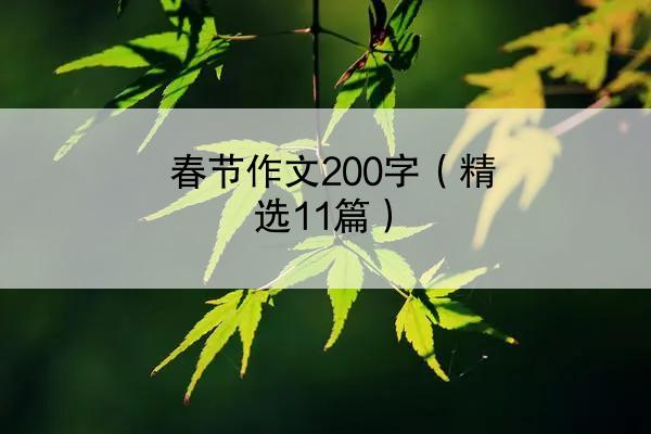 春节作文200字（精选11篇）