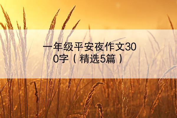 一年级平安夜作文300字（精选5篇）