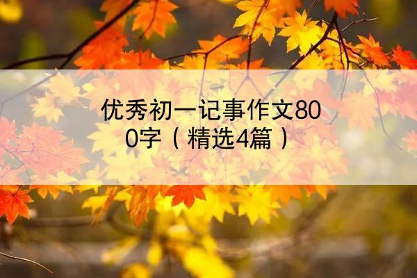 优秀初一记事作文800字（精选4篇）