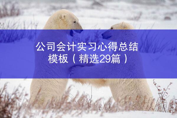 公司会计实习心得总结模板（精选29篇）