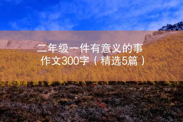 二年级一件有意义的事作文300字（精选5篇）