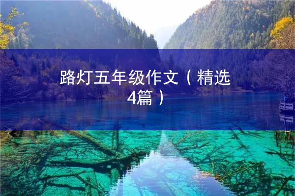 路灯五年级作文（精选4篇）