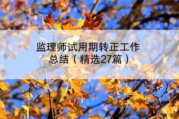 监理师试用期转正工作总结（精选27篇）