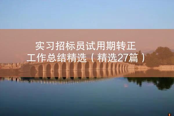 实习招标员试用期转正工作总结精选（精选27篇）