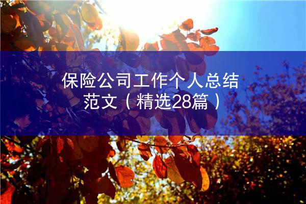 保险公司工作个人总结范文（精选28篇）