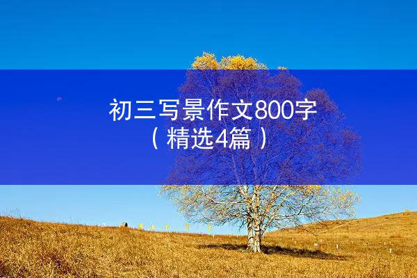 初三写景作文800字（精选4篇）