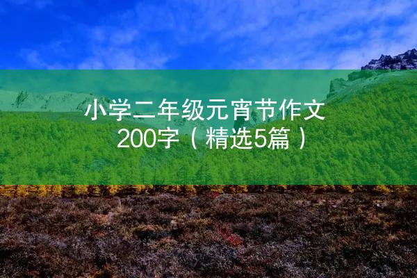 小学二年级元宵节作文200字（精选5篇）