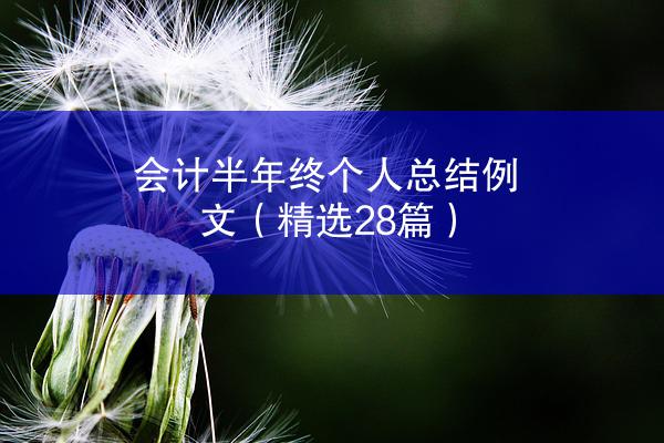 会计半年终个人总结例文（精选28篇）