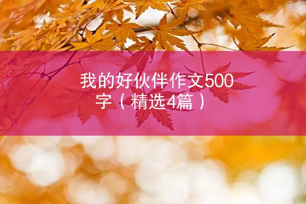 我的好伙伴作文500字（精选4篇）