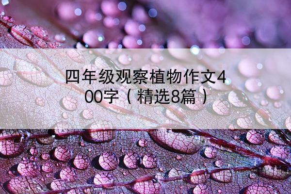 四年级观察植物作文400字（精选8篇）