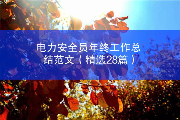 电力安全员年终工作总结范文（精选28篇）