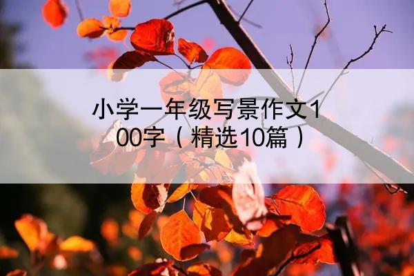 小学一年级写景作文100字（精选10篇）