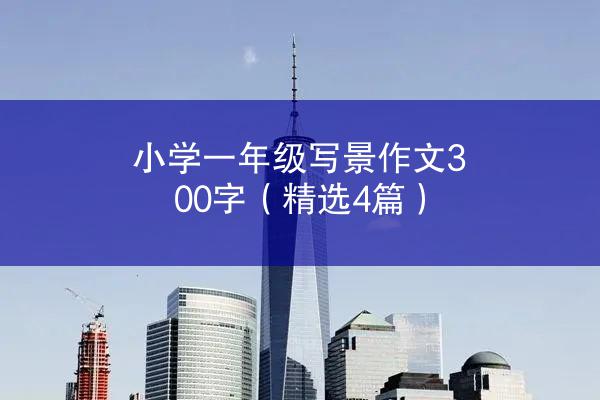 小学一年级写景作文300字（精选4篇）