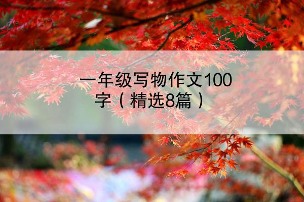 一年级写物作文100字（精选8篇）