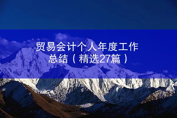 贸易会计个人年度工作总结（精选27篇）