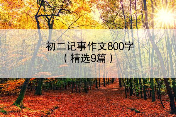 初二记事作文800字（精选9篇）