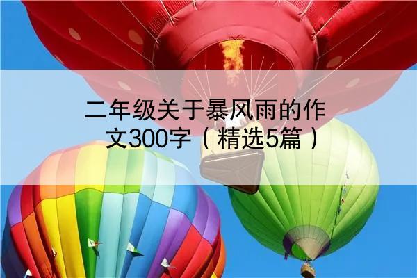 二年级关于暴风雨的作文300字（精选5篇）