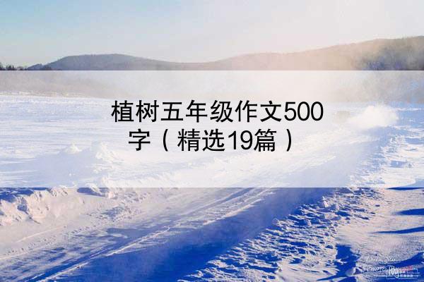 植树五年级作文500字（精选19篇）