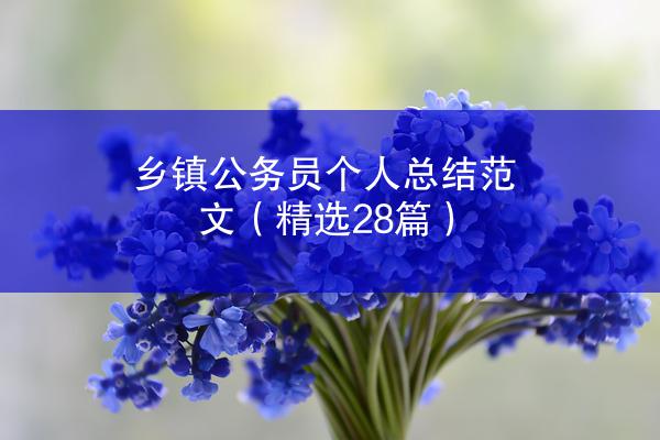 乡镇公务员个人总结范文（精选28篇）