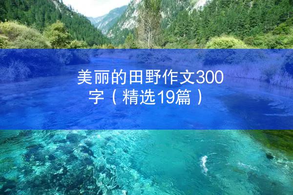 美丽的田野作文300字（精选19篇）