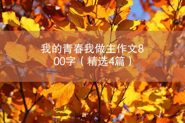 我的青春我做主作文800字（精选4篇）