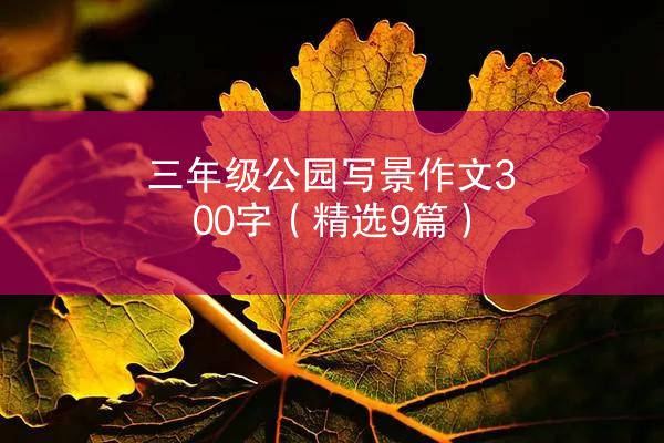 三年级公园写景作文300字（精选9篇）