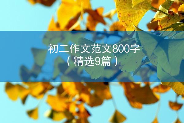 初二作文范文800字（精选9篇）