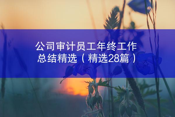 公司审计员工年终工作总结精选（精选28篇）