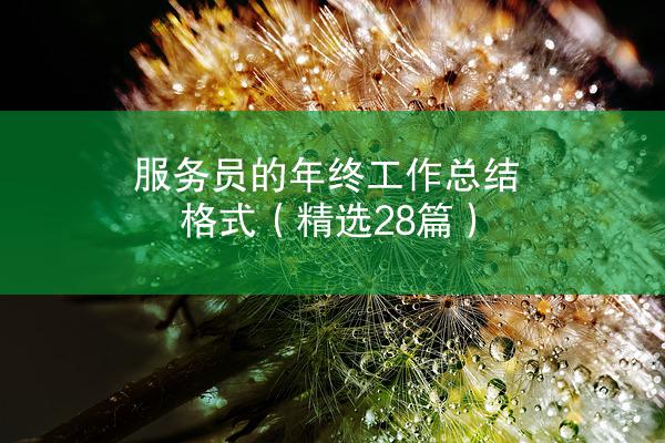 服务员的年终工作总结格式（精选28篇）