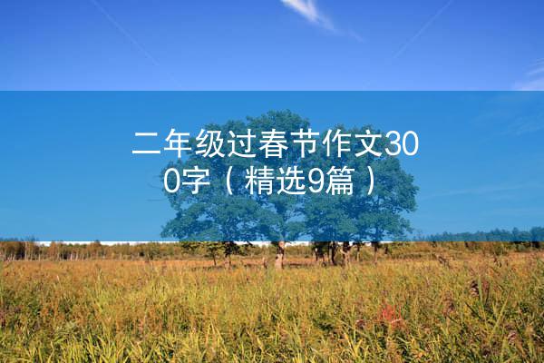 二年级过春节作文300字（精选9篇）