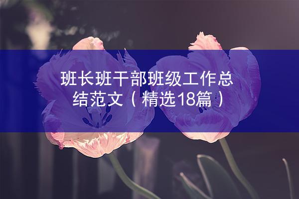 班长班干部班级工作总结范文（精选18篇）