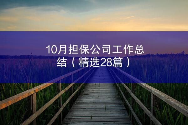 10月担保公司工作总结（精选28篇）