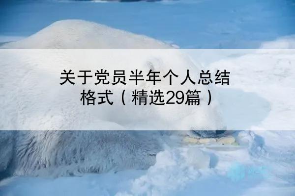 关于党员半年个人总结格式（精选29篇）