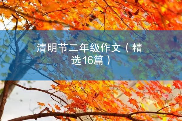 清明节二年级作文（精选16篇）