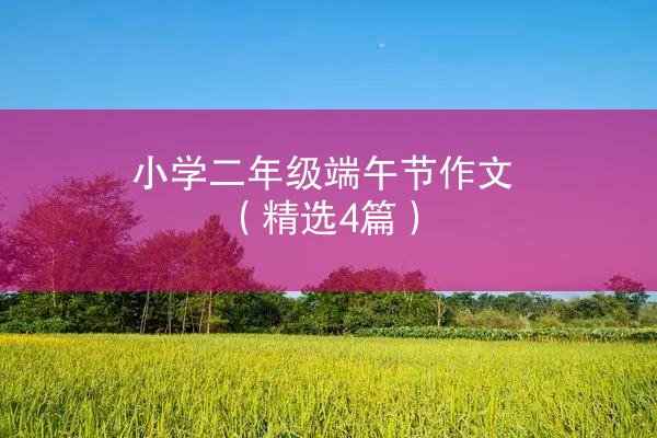 小学二年级端午节作文（精选4篇）